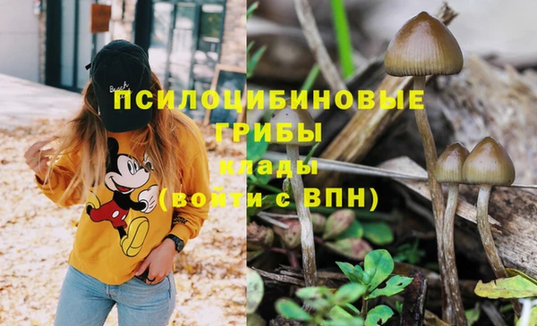 альфа пвп Кодинск