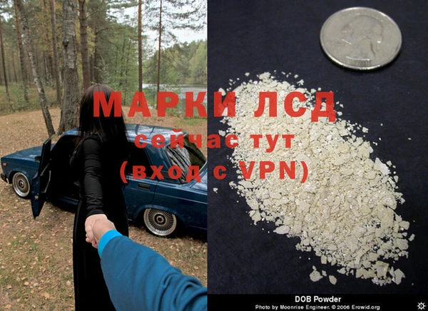 эйфоретик Козловка