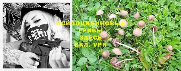 2c-b Козельск