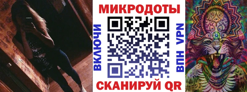 Галлюциногенные грибы Psilocybe  Шарья 